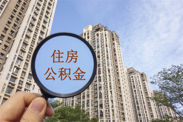 公积金存在账户里的利率-淮北公积金代办平台